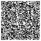 QR code with Professional Employers contacts