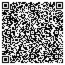QR code with Bluehaven Pools Inc contacts