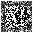 QR code with Carl W Stinsin Inc contacts