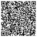 QR code with Accel contacts