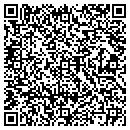 QR code with Pure Hockey Of Davers contacts