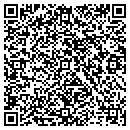 QR code with Cycolne Pools Service contacts