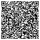 QR code with Carver Village Market contacts
