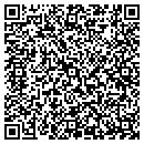 QR code with Practical Payroll contacts