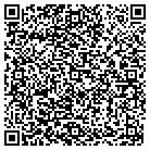 QR code with Spring Cleaning Service contacts