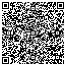 QR code with Carpet Craftsman Inc contacts