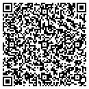 QR code with Premier Insurance contacts