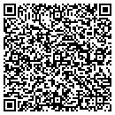 QR code with Practical Solutions contacts