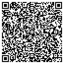 QR code with Profitmax Inc contacts