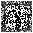 QR code with Purls Yarn Emporium contacts