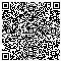QR code with Timing contacts
