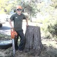 Larned Tree Service: Affordable Tree Care. in Laurel, MT