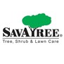 SavATree - Tree Service & Lawn Care in Norwalk, CT