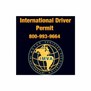 International Driver Permit -IMVA in Houston, TX