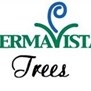 Perma Vista Trees in Brenham, TX