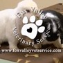 Fox Valley Veterinary Service in Burlington, WI