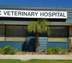 Pet_Hospital_San_Diego_CA.JPG